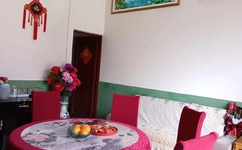 狗狗趴在我身上打扑克